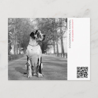 Valpkort för annonsering vykort