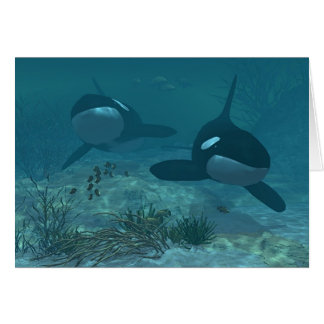 Valplats Hälsningskort