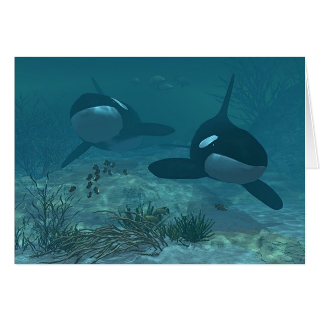 Valplats Hälsningskort (Framsidan Horizontal)