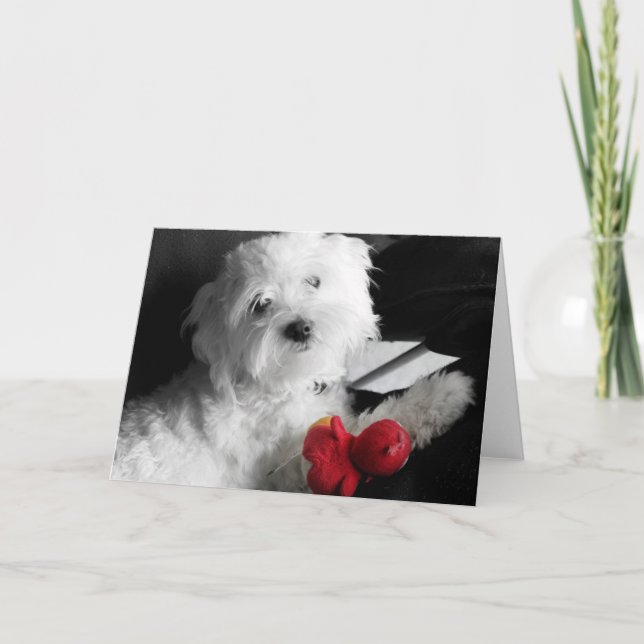 Valplek Kort (Framsida)