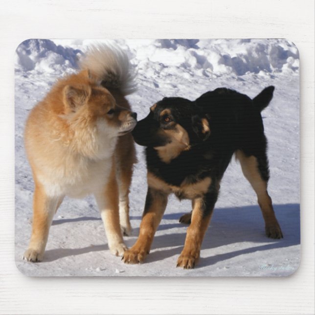 Valplek Musmatta (Framsidan)