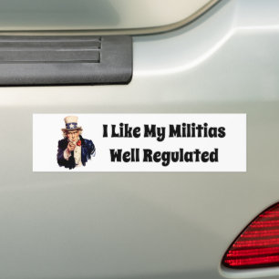 Välreglerad milis bildekal