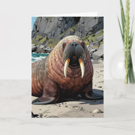 Valross på en sandstrand | Bara kollar in Kort
