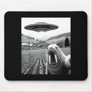 Valross selfie med UFO rolig valross kvinna man ba Musmatta
