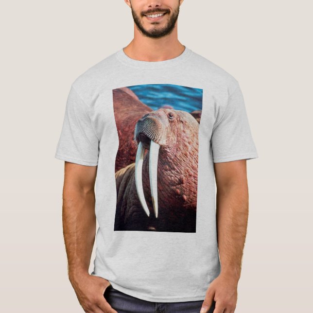 Valross T-shirt (Framsida)