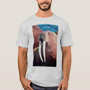 Valross Tee