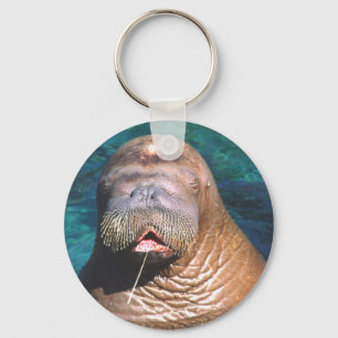 Valrossen synar stängda Keychain Nyckelring