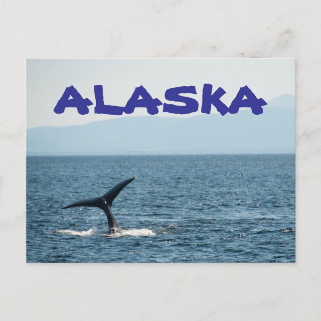Valscenariot Alaska vykort (Framsida)