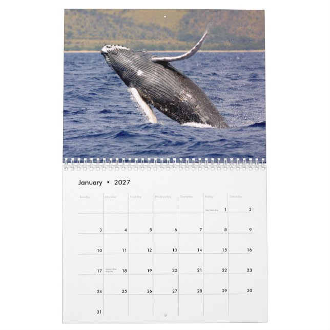 Valsfotografikalender Kalender (Jan 2027)