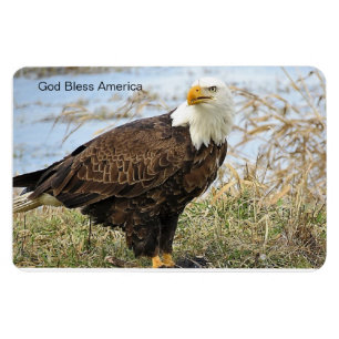 "Välsigna dig America" Örn på flex. 4 x 6 magne Magnet