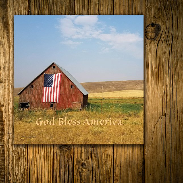 VÄLSIGNA DIG AMERIKA BARN FLAGGA OCH FÄLT CANVASTRYCK (Skapare uppladdad)
