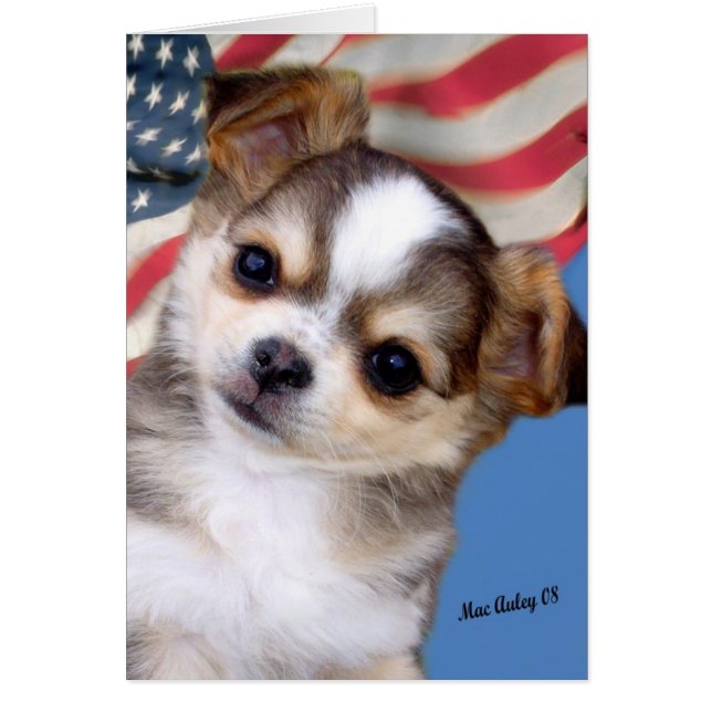 Välsigna dig hälsningskort (Framsidan)