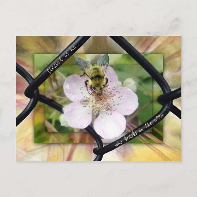 Välsignad är han som litar på LORD Vykort (Framsida)