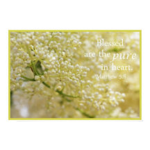 Välsignade är Pure in Heart