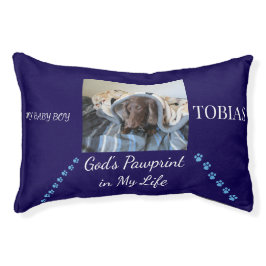 Välsignade tassavtryck Sista vilorummet