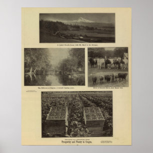 Välstånd alldeles i Oregon Poster