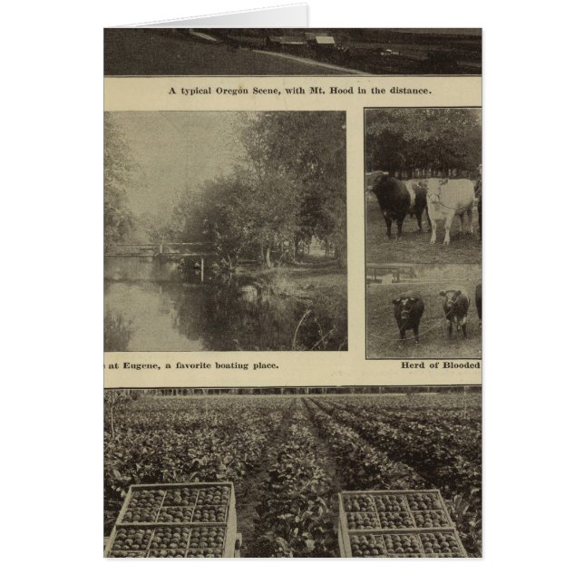 Välstånd, gott i Oregon Hälsningskort (Framsidan)