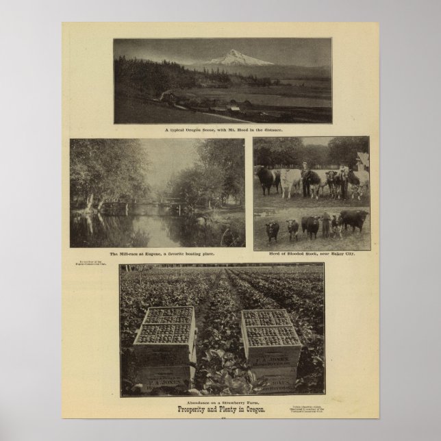 Välstånd, gott i Oregon Poster (Framsidan)