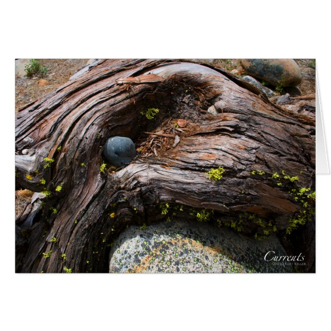 Valutakort OBS Kort (Framsidan Horizontal)