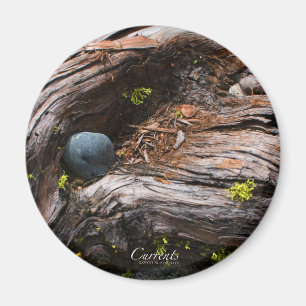 Valutakurser Magnet