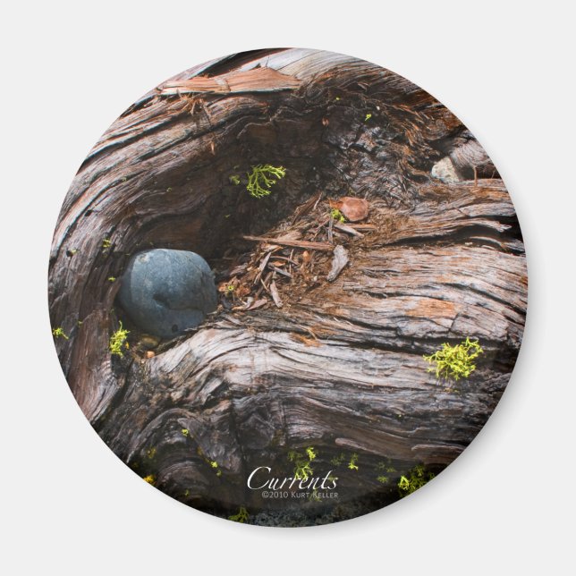 Valutakurser Magnet (Framsidan)