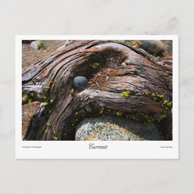 Valutautskrift Vykort (Framsida)