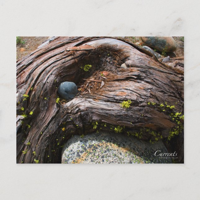 Valutavykort Vykort (Framsida)