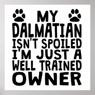 Välutbildad Dalmatisk ägare Poster