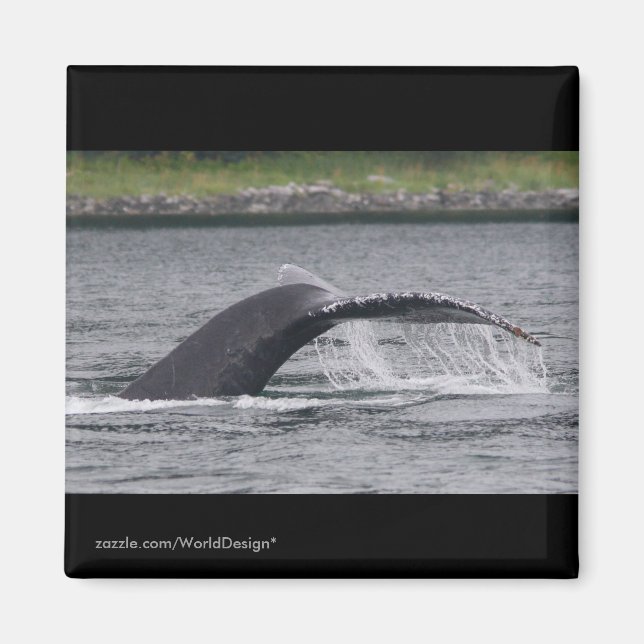 Valval Magnet (Framsidan)