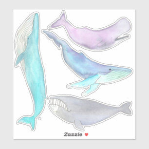 Valval... Whale Stickers Klistermärken