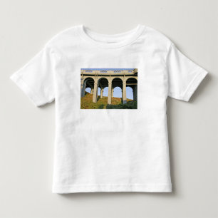 Valvbågar stöder Patterson Memorial Bridge Tee Shirt