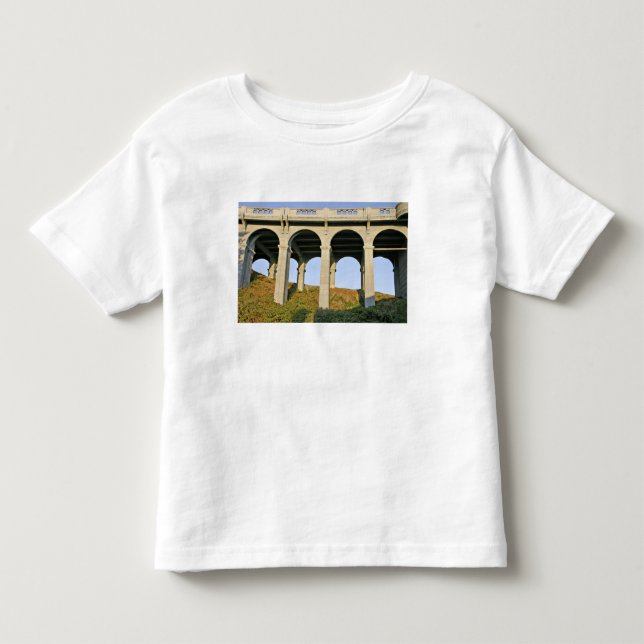 Valvbågar stöder Patterson Memorial Bridge Tee Shirt (Framsida)