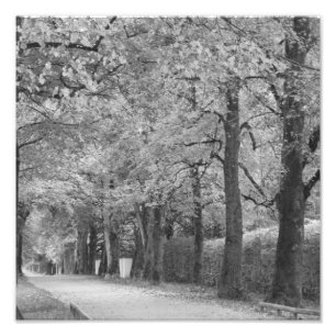"Valvgång" photoprint Fototryck