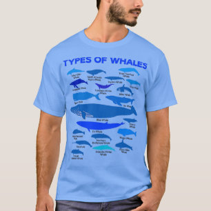 ValvTypes Narval Cetacean Leviathan Species Oc T Shirt