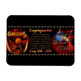Valxart Capriquarius Capricorn Aquarius CMS Magnet