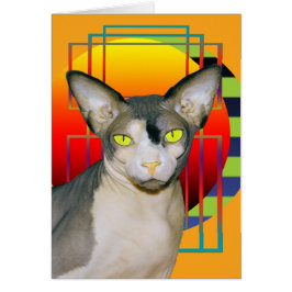 Vampig Sphynx katt för kort | (orangen)