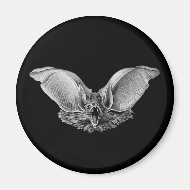Vampire? Fladdermus? Magnet (Framsidan)