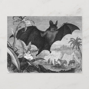 Vampire Fladdermus Vykort