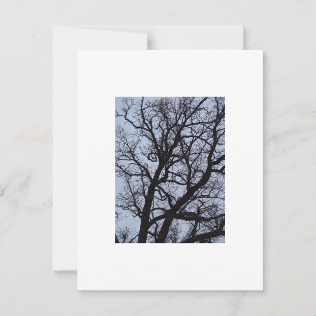 Vampire Träd (Framsida)