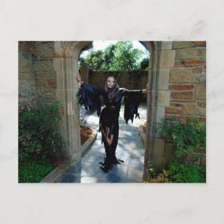 Vamplified Dead Hollywood vykort