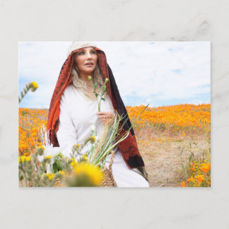Vamplified Poppy Gardens Postcard Vykort