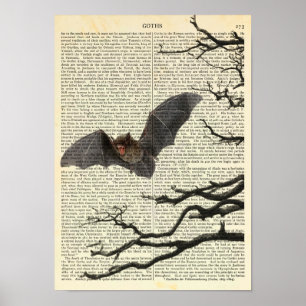 Vampyre Fladdermus, Gothic, Dracula, Fladdermus, n Poster