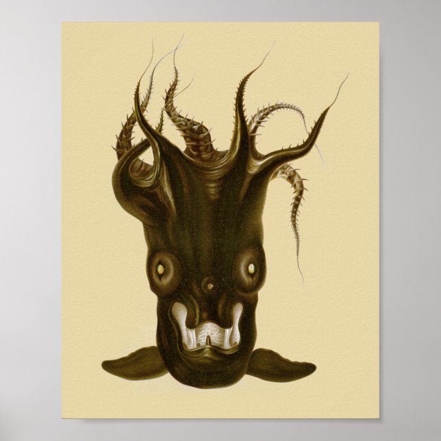 Vampyre Squid Black Sea Creature Art Print Poster (Framsidan)