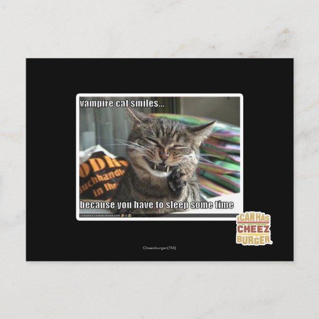 vampyrkattlekar vykort (Framsida)