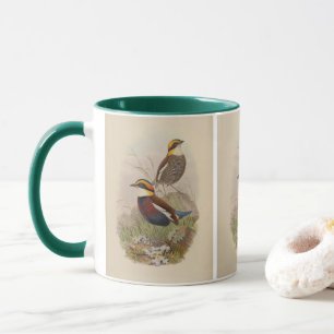 Van der Bosch's Pitta av John Gould Mugg