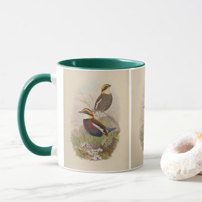 Van der Bosch's Pitta av John Gould Mugg (Med munk)