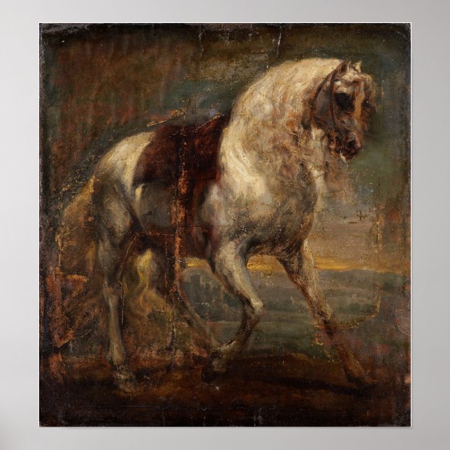 Van Dyck - en grå häst Poster (Framsidan)