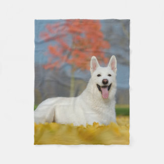 Vän för hårig för foto för hund för fleecefilt