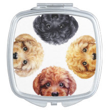 Vän för leksakpudel