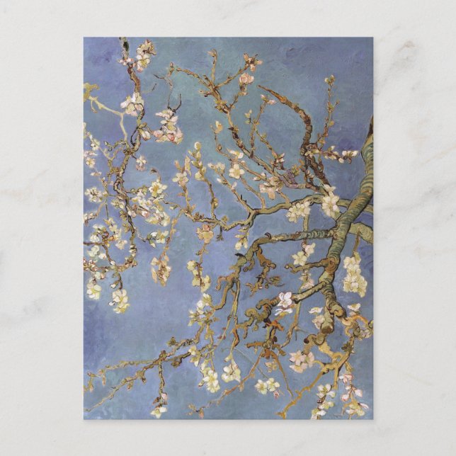 Van Gogh Almond Blommar Helg Vykort (Framsida)